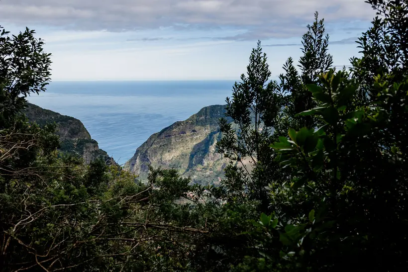 A forest trail opening onto mountains and the Atlantic
